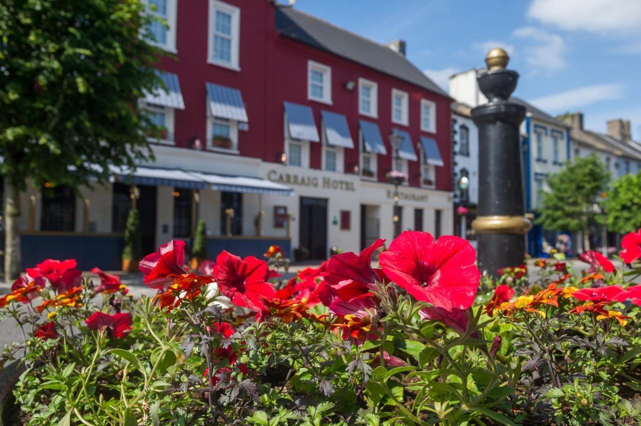 The Carraig Hotel Carrick-on-Suir Dış mekan fotoğraf
